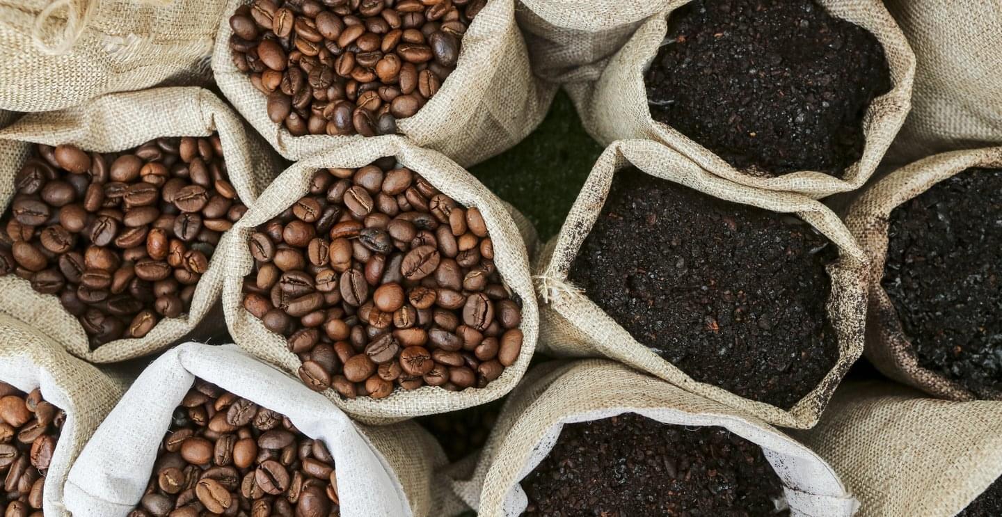 coffee